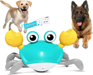 Crawling Crab Dog Toy