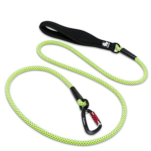Big Dog Walking Traction Rope