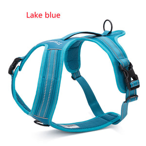 Pet chest strap Harness
