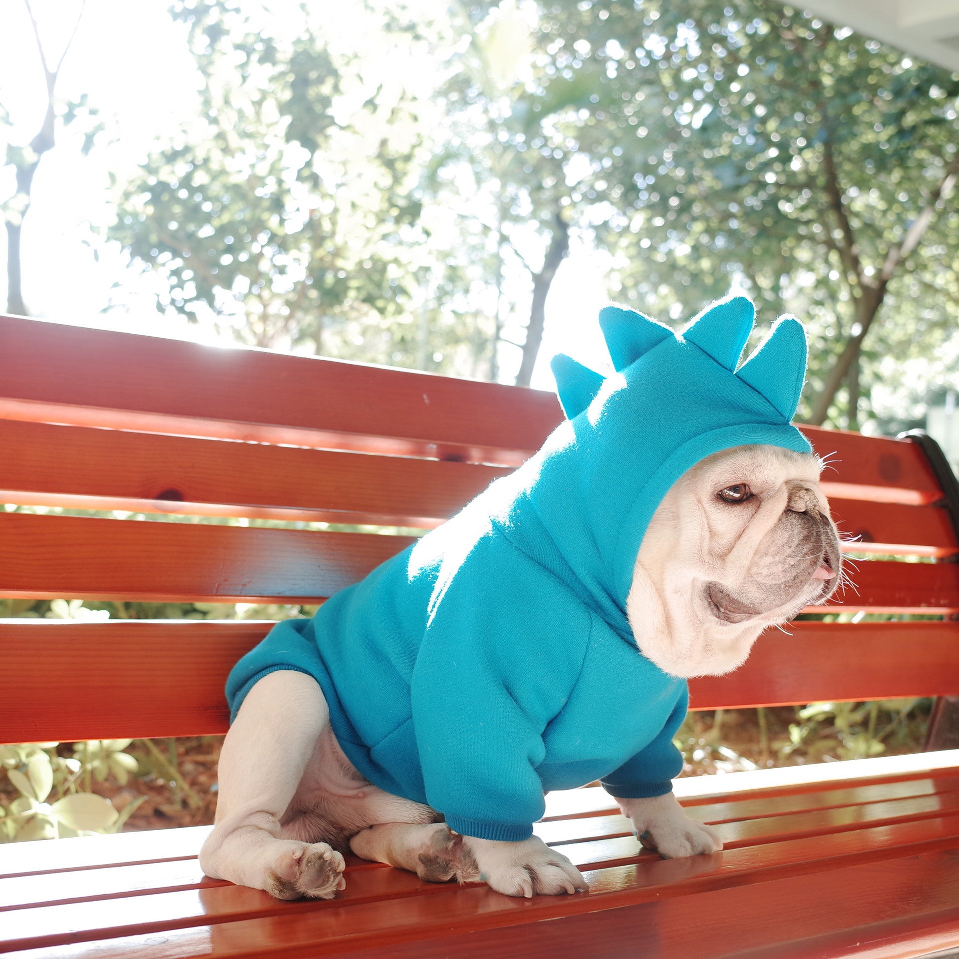 Pet Fleece Hoodie