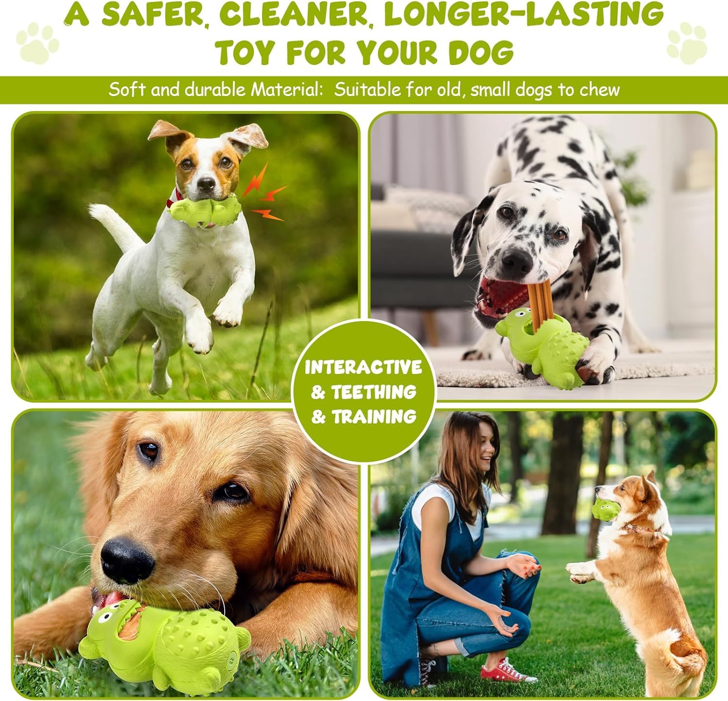 Dog Rubber Squeaky Toy