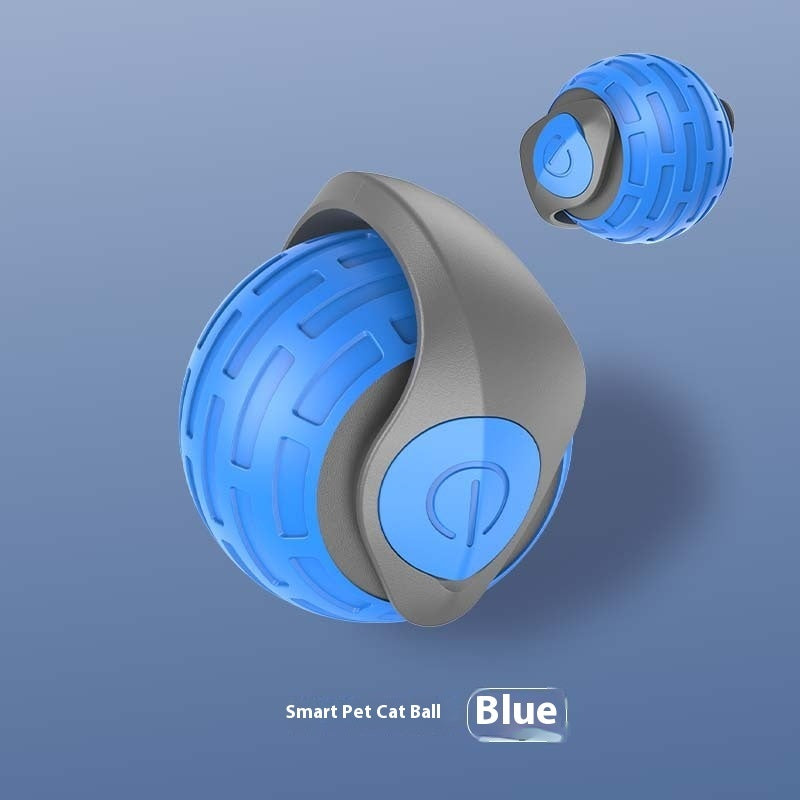 Interactive Cat Toys