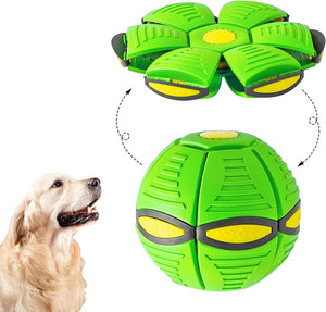 Pet Flying Saucer Ball Toy