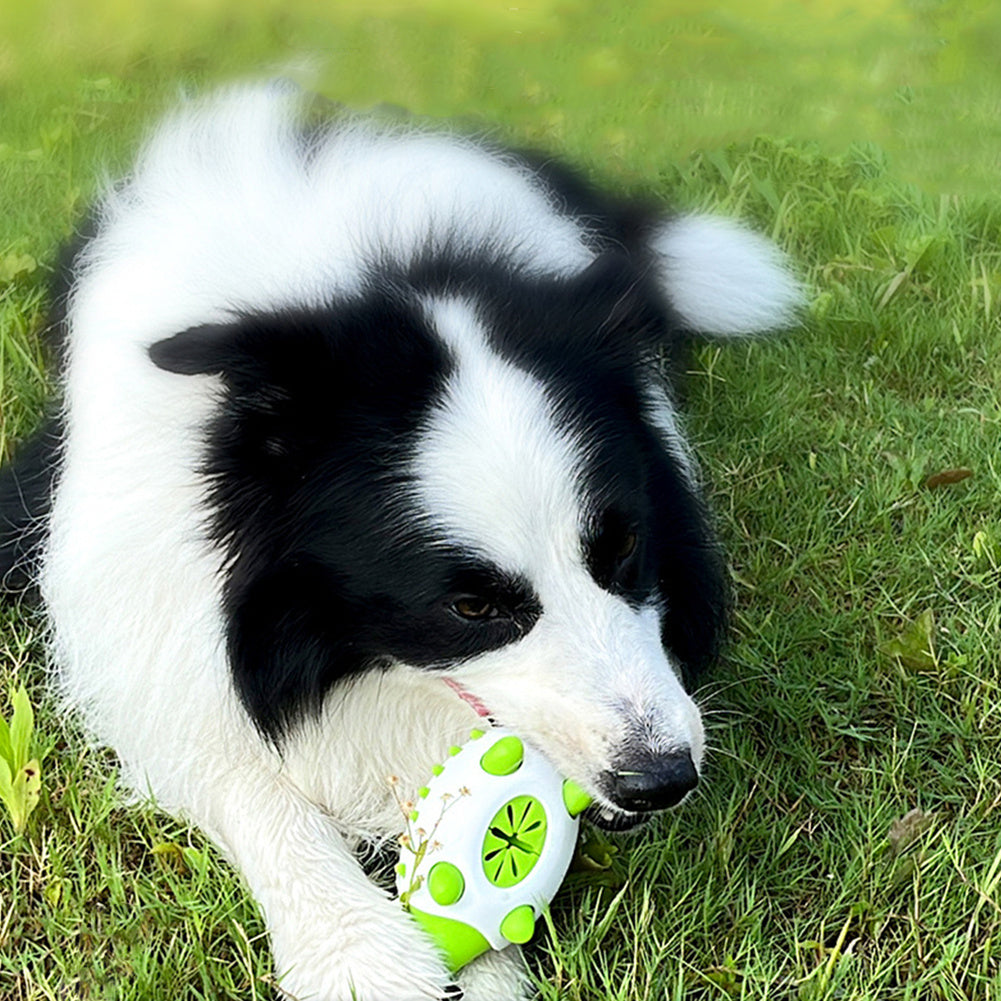 Interactive Treat Dispensing Dog Toy for Chewing And Tooth Cleaning