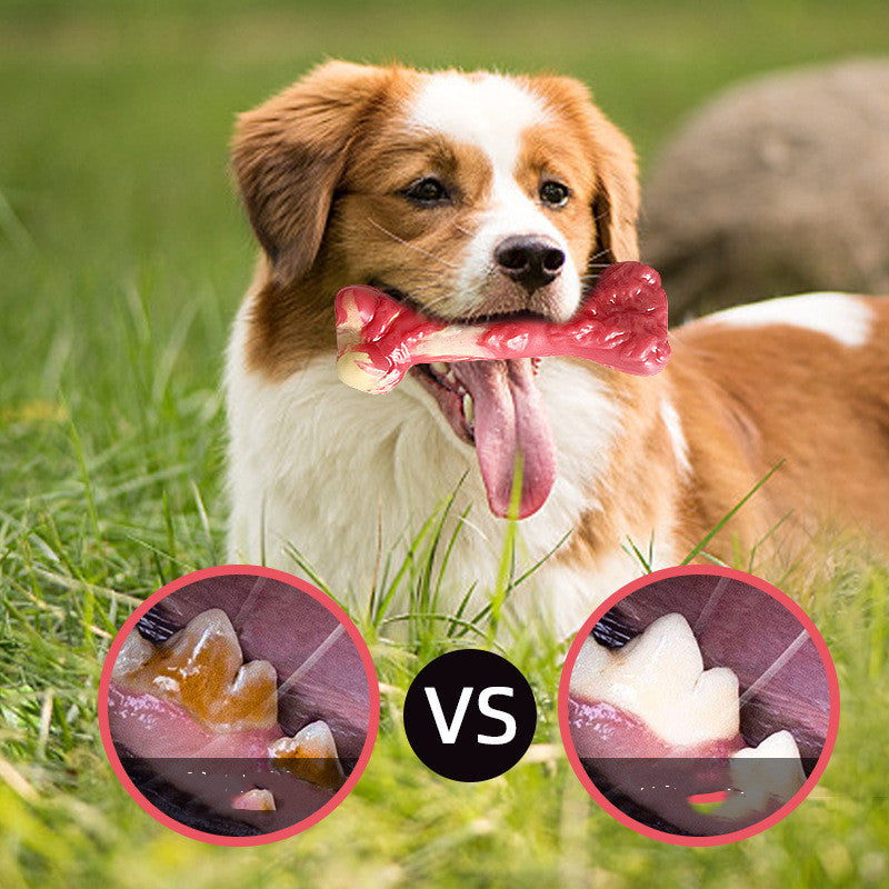 Dog Molar Stick Bone Chew Toy