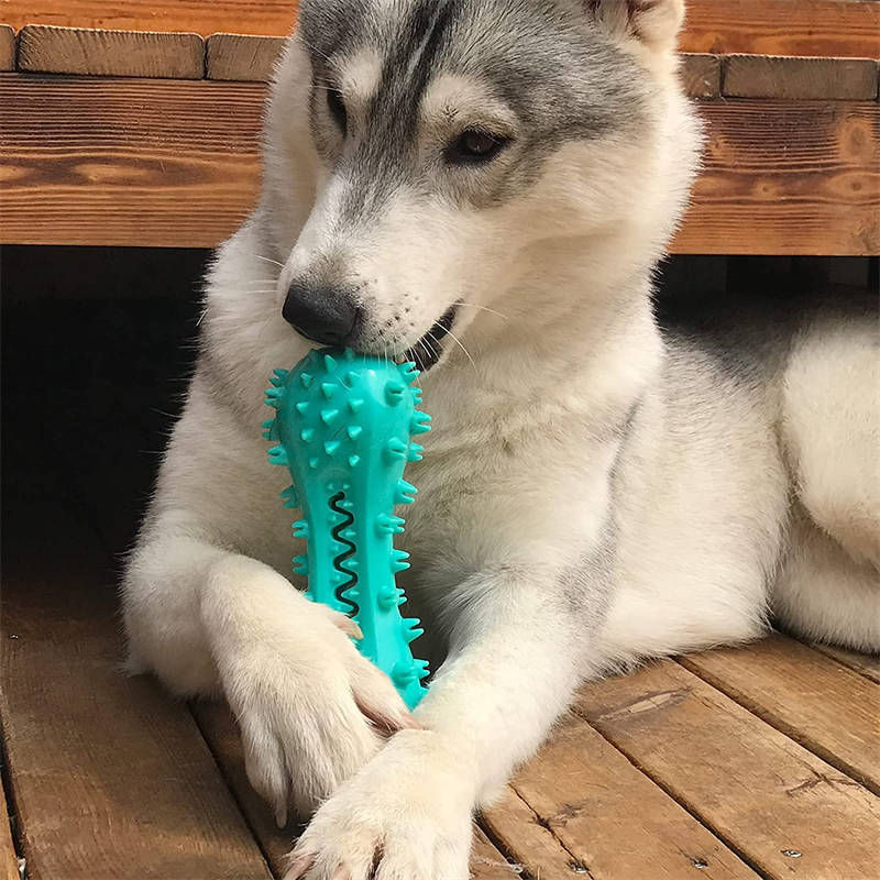 Tough Rubber Pet Toy for Dental Cleaning and Aggressive Chewers