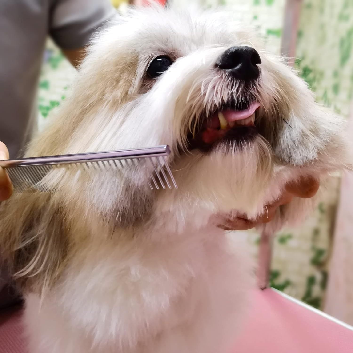 Professional Dog Grooming Scissors