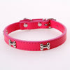 Fashionable Pet PU Neck Collar