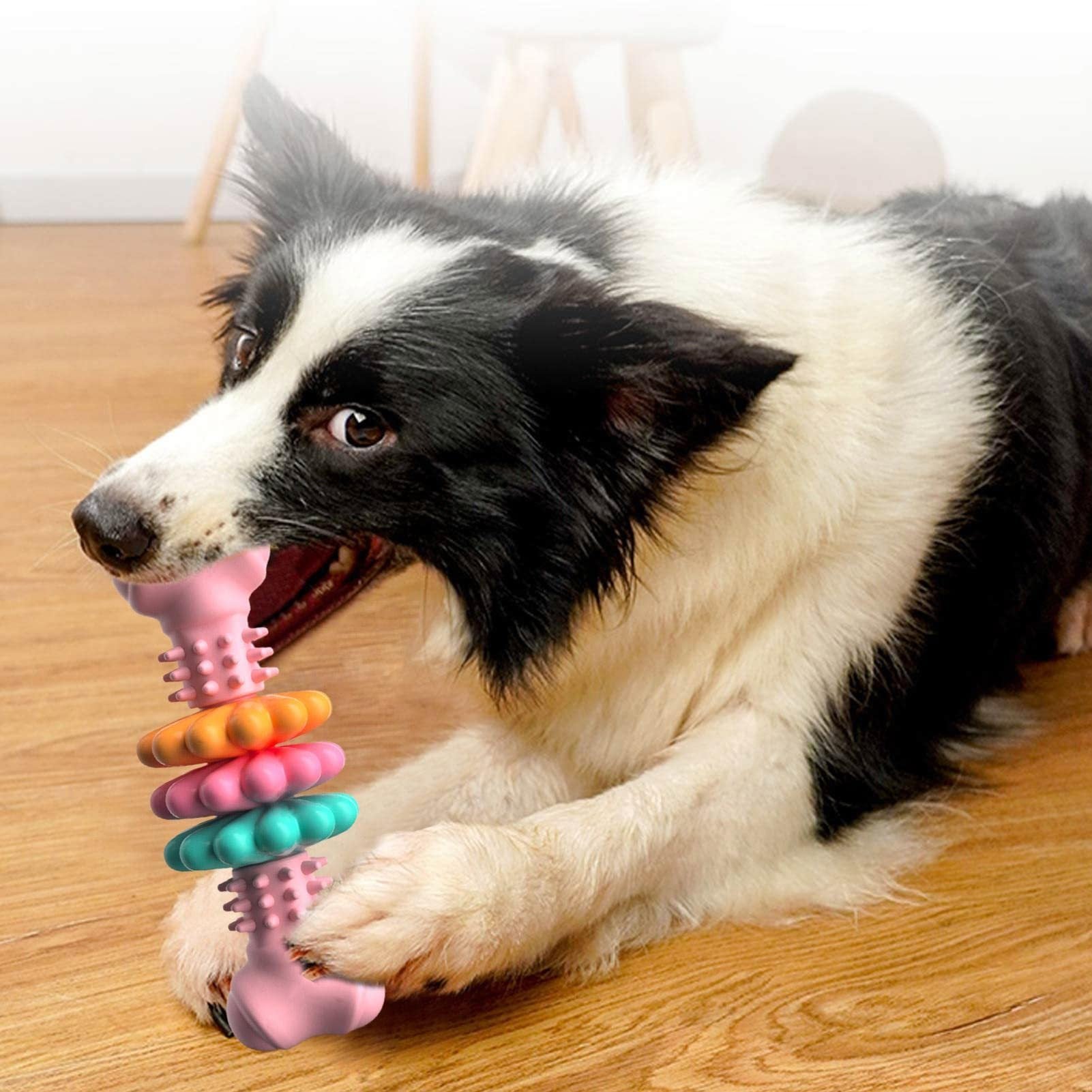 Dog Teeth Cleaning Toy & Chew Bone - Promotes Healthy Gums