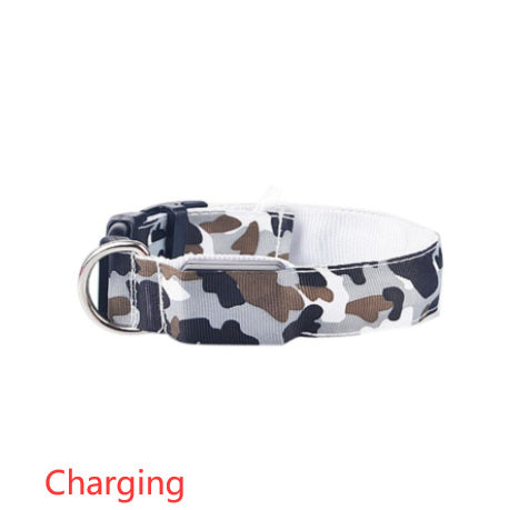 Camouflage luminous dog collar