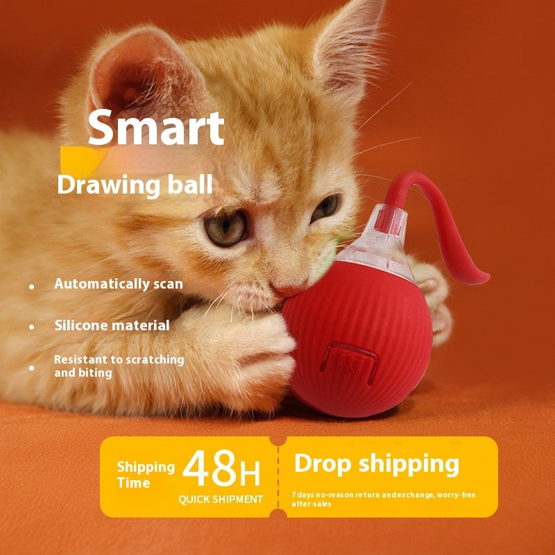 Cat Rolling Ball Toy