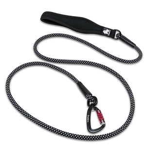 Big Dog Walking Traction Rope