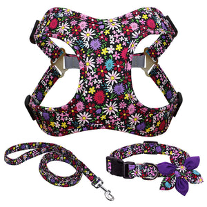 Dog Walking Rope Harness