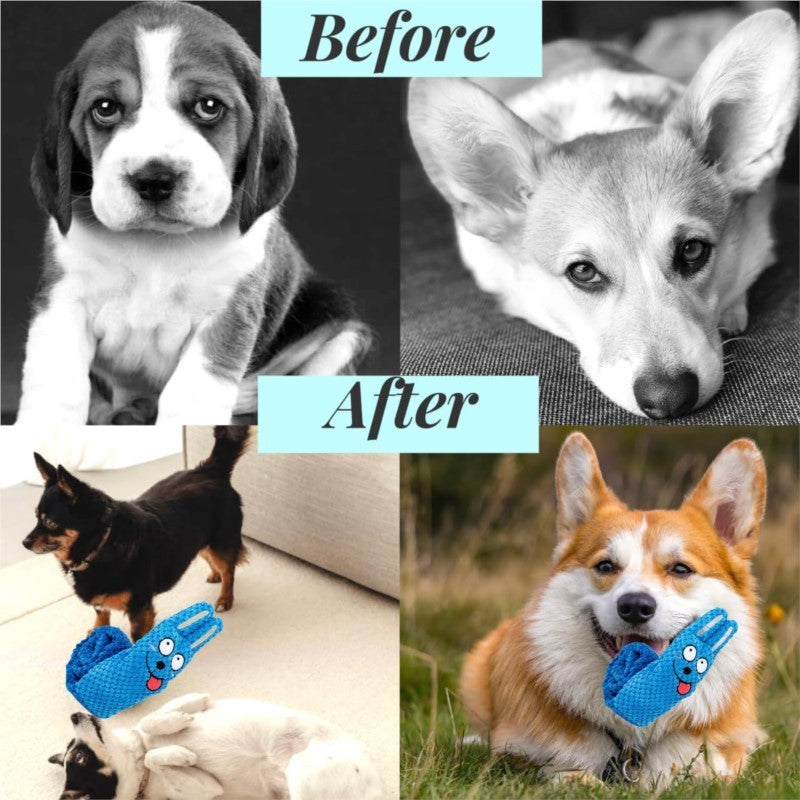 Squeaky Dog Puzzle Toy