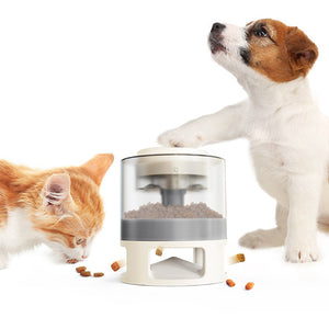 Dog Food Feeder