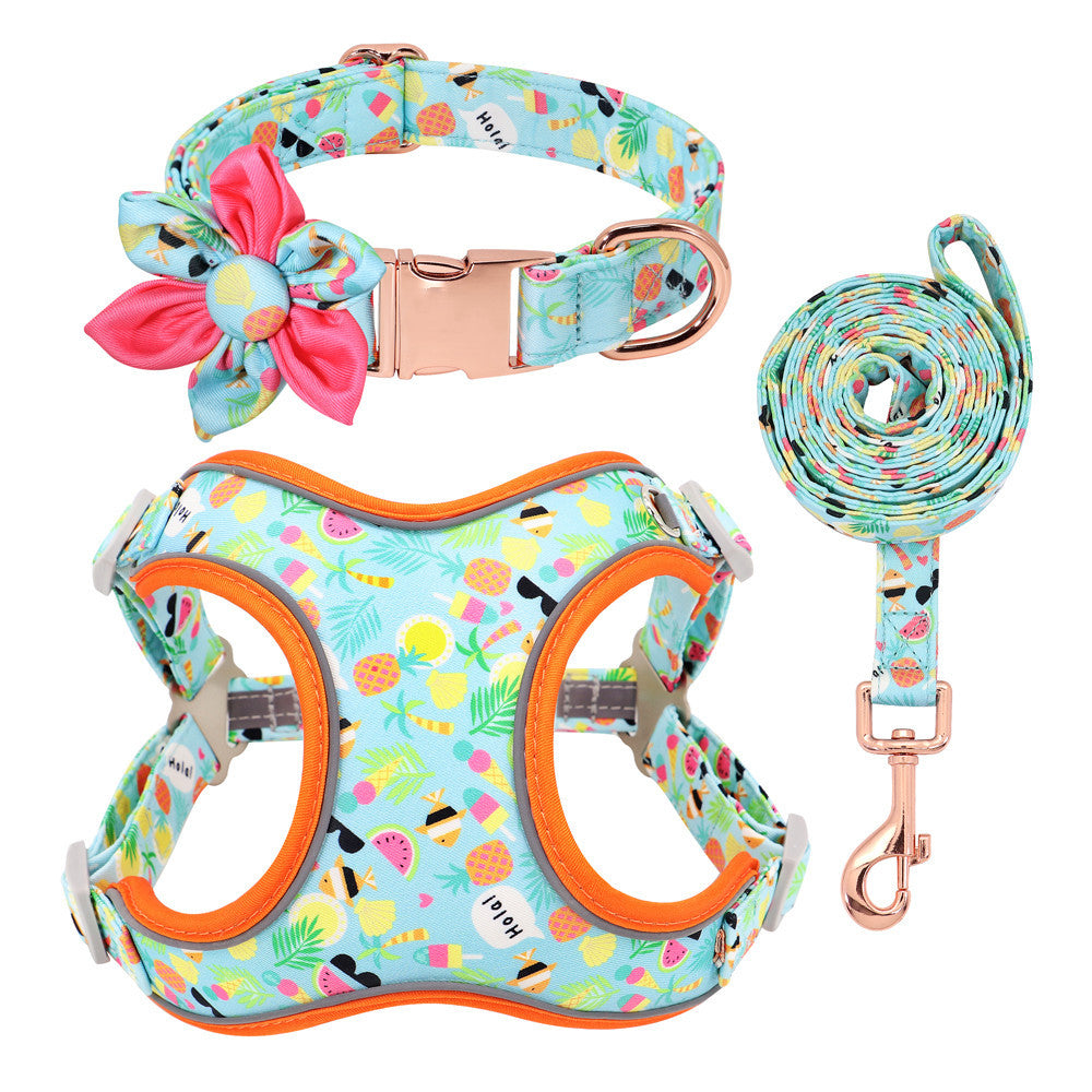 Dog Teddy Corgi Collar Leash