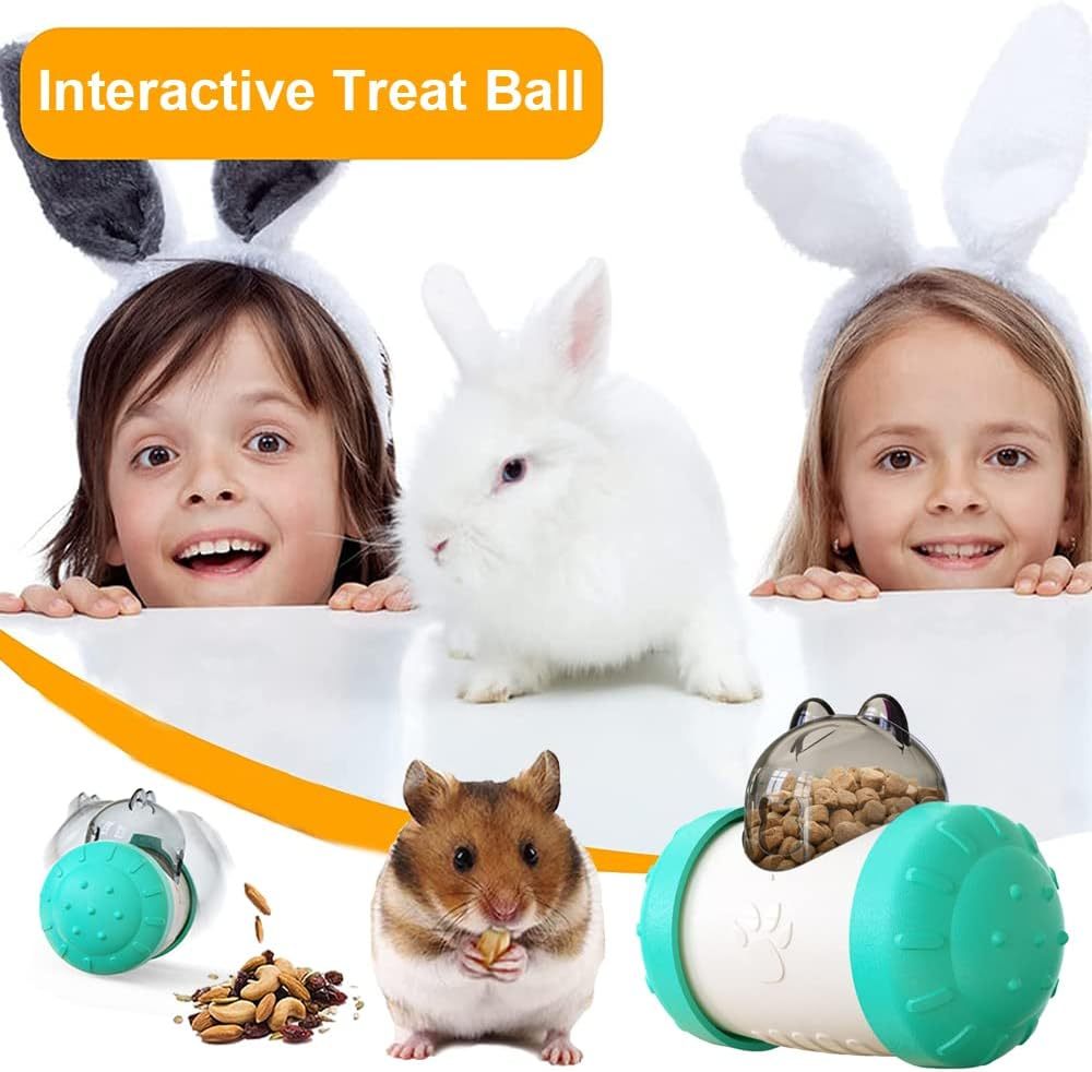 Pet Treat Dispensing Toy