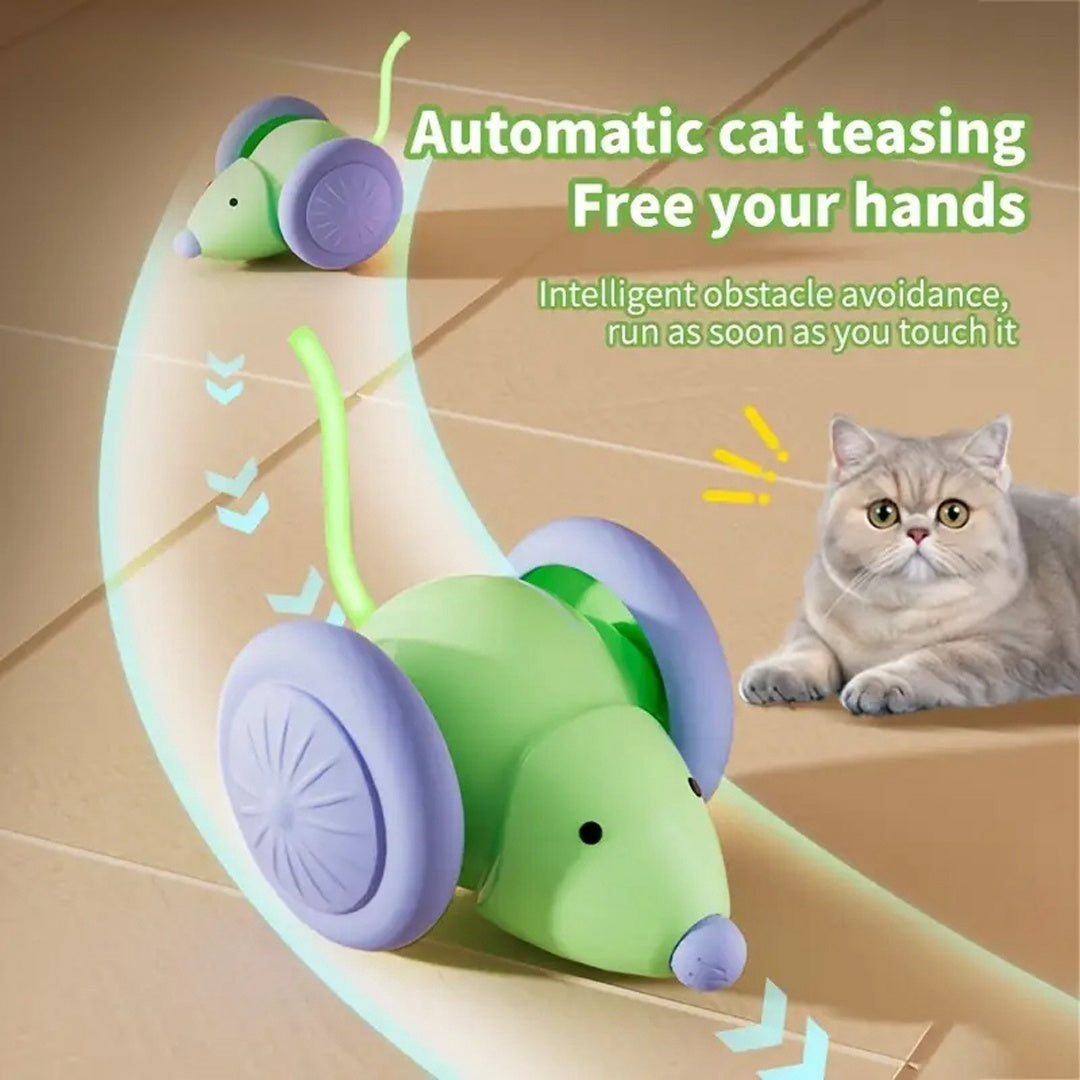 Cat Electric Mouse Car Toy