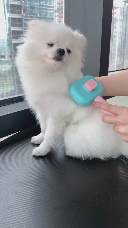 Stainless Steel Pet Grooming Comb Dogs & Cats