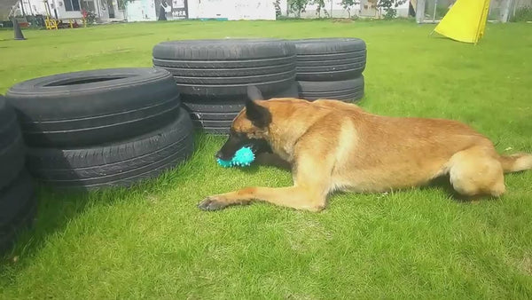 Tough Rubber Pet Toy for Dental Cleaning and Aggressive Chewers