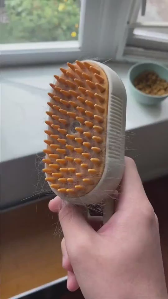 3-in-1 Steam Brush for Pet Grooming, Massage & Hair Removal