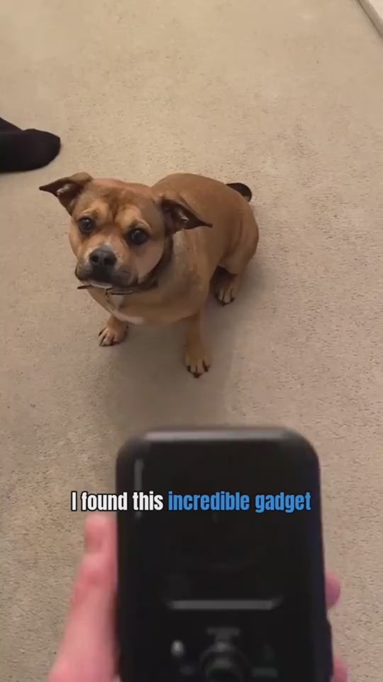 Outdoor Anti-Barking Device to Stop Nuisance Barking