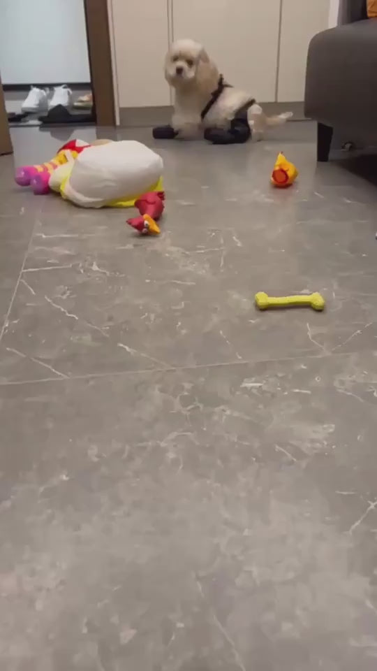 Waterproof Dog Shoes with Soft Soles for Outdoor Walking