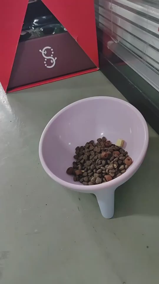 Food And Water Bowl with Stand for Cats, Dogs And Rabbits