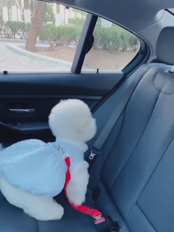 Durable Polyester Dog Leash for Daily Walks & Training