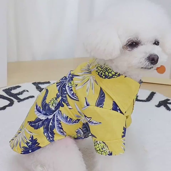 Lightweight Breathable Dog T-Shirt for Summer