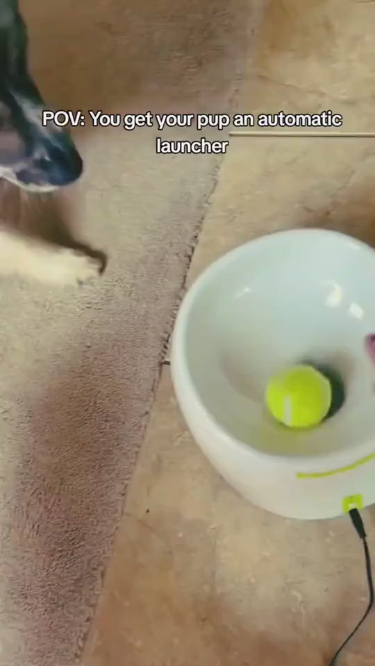 Automatic Interactive Ball Launcher For Pet's