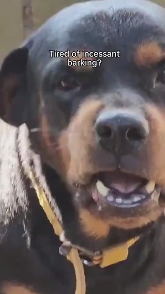 Outdoor Anti-Barking Device to Stop Nuisance Barking