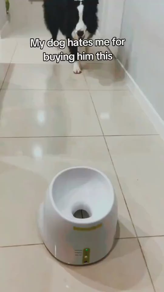 Automatic Interactive Ball Launcher For Pet's