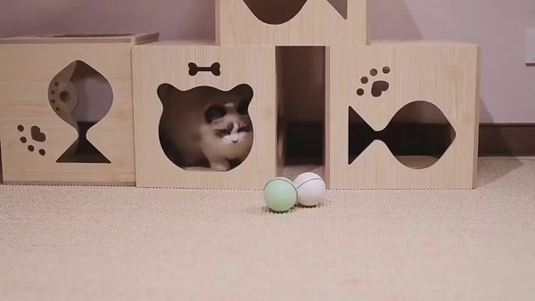 LED Laser Electronic Rolling Funny Pet Toy Ball