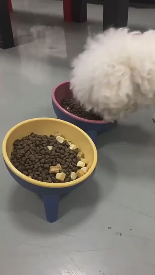 Food And Water Bowl with Stand for Cats, Dogs And Rabbits