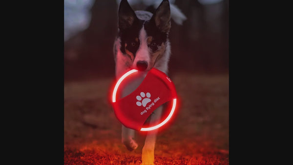 Glow in the Dark Pet Frisbee - Interactive Light-Up Toy for Outdoor Games